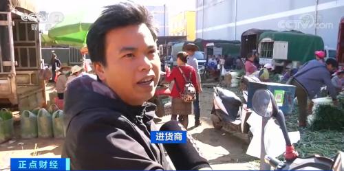 疯狂的大葱！短短几天，价格涨两倍！“葱”忙涨价为哪般？