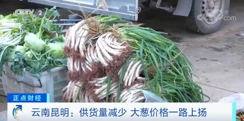 疯狂的大葱！短短几天，价格涨两倍！“葱”忙涨价为哪般？