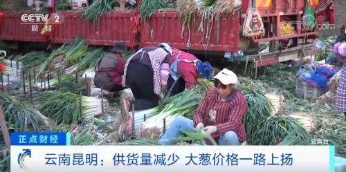 疯狂的大葱！短短几天，价格涨两倍！“葱”忙涨价为哪般？