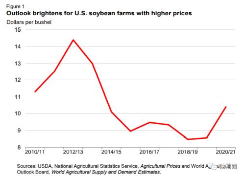 11月油料作物展望报告:大豆价格反弹，澳洲油菜籽增加，葵花籽产量下降