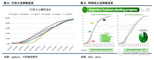 【悠哉油斋】平衡表进一步收紧，奠定油脂中期强势格局