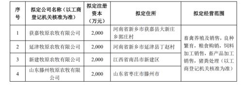这家“养猪龙头”新设4家子公司,不仅拟以7亿元进行商品期货套保业务,还要开展外汇衍生品交易