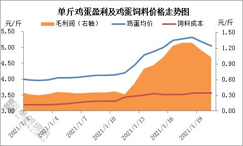 鸡蛋：涨也匆匆 跌也匆匆