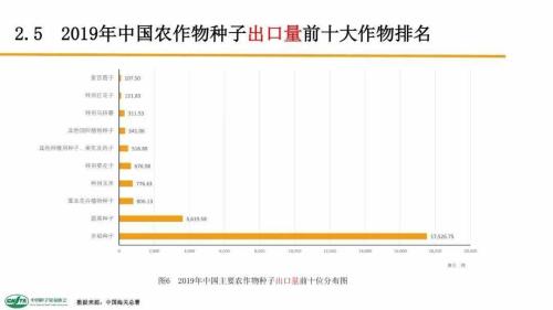 中国每年进口7万吨“洋种子”：14亿人的饭碗，能端稳吗？