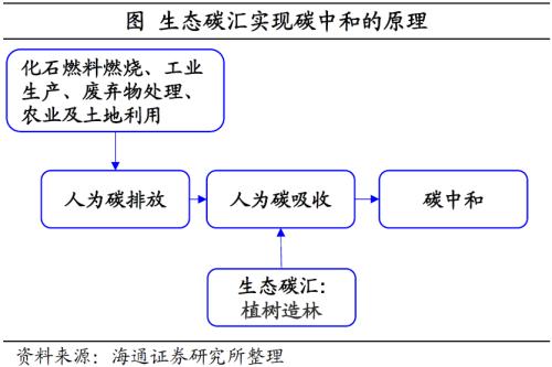 影响不容忽视：“碳中和”如何推进？——碳中和系列研究之一