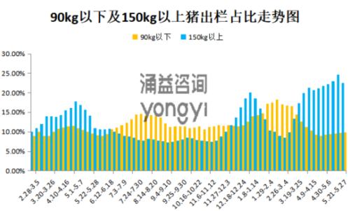 生猪:端午节前现货将加速下跌,挤升水逻辑不变【点石成金】