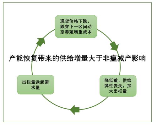 生猪：熊市不言底，全行业即将去库，现货加速崩盘【点石成金】