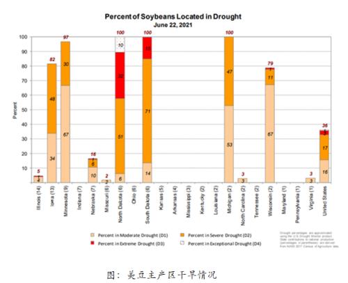 美国干旱利多农产品期货 重点关注豆粕机会