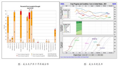 美国干旱利多农产品期货 重点关注豆粕机会