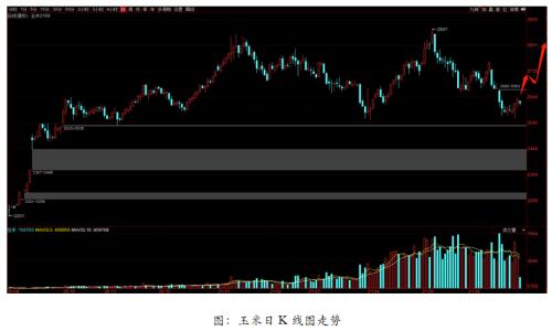美国干旱利多农产品期货 重点关注豆粕机会
