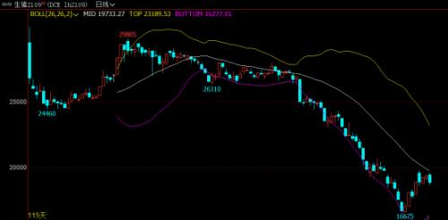 需求逐渐回暖,生猪价格或企稳反弹