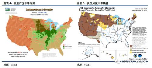 【悠哉油斋】紧供应改善有限,植物油强势未改