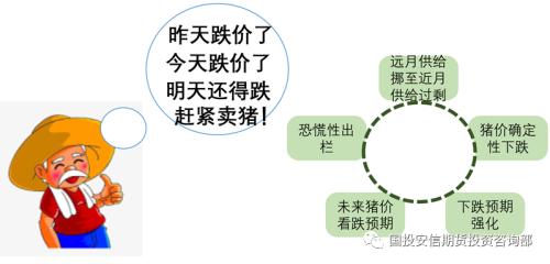 避险情绪施压商品市场，生猪能否上演绝地反击【期市月月谈】