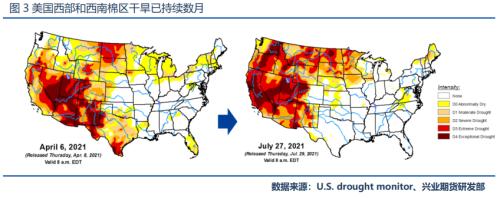 【专题报告】 供需面将延续乐观结构，郑棉继续看涨至19000以上