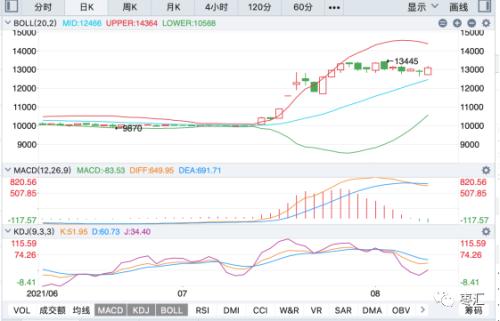 资金追捧热度不减 郑枣低开高走