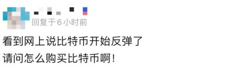 比特币重回4.6万美元,加密货币又行了?