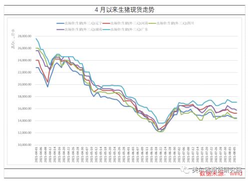 近期生猪供需态势分析,这些你了解吗?