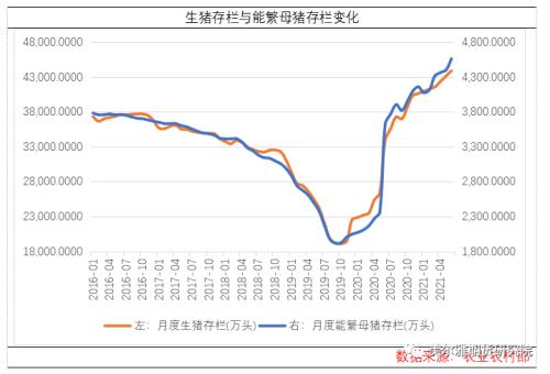 近期生猪供需态势分析,这些你了解吗?