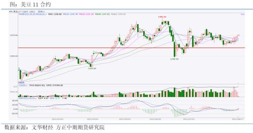【豆粕期货期权】基本面短期偏多 积极做多豆粕期货