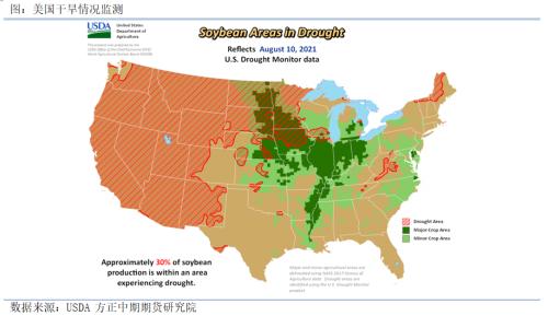 【豆粕期货期权】基本面短期偏多 积极做多豆粕期货