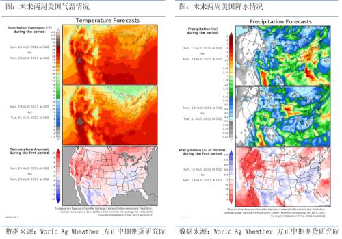 【豆粕期货期权】基本面短期偏多 积极做多豆粕期货