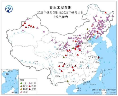 玉米：供需报告超出预期，美玉米期价偏强运作（附平衡表）