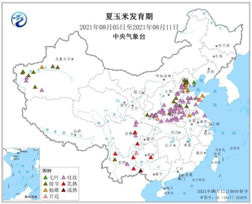 玉米：供需报告超出预期，美玉米期价偏强运作（附平衡表）