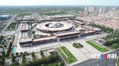 中药材掀“涨价潮”！价格翻番！返乡大学生回家“种药”，年入超40万元！