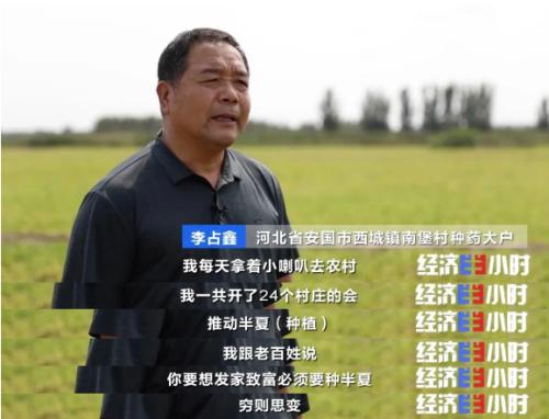 中药材掀“涨价潮”！价格翻番！返乡大学生回家“种药”，年入超40万元！