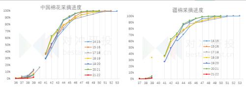 研客研究 | 单日暴涨7%，抢收预期兑现的棉花行情还能维持多久？