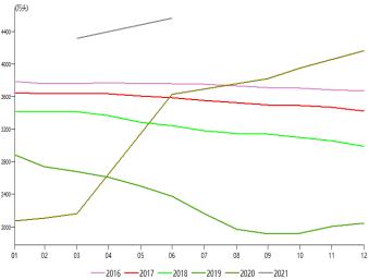 外购种猪意愿降至冰点,生猪现货价格跌幅扩大,盘面升水何去何从?