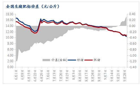 生猪:周期未到反转时,猪价反弹空间相对有限【点石成金】