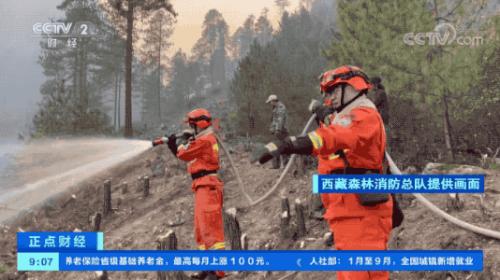 西藏林芝发生山火，火势迅猛，正在救援→