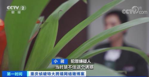 惊天大案!170人被抓,年流水超150亿