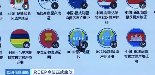 RCEP完全生效后区域内90%货物贸易产品将零关税