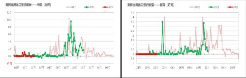 棉花：印度棉价飙升，或扛下涨价大旗？