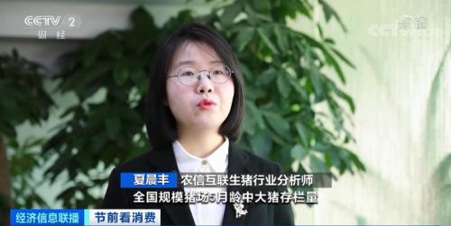 降降降降降!春节倒计时,猪肉价格连降5周!旺季不旺,咋回事?