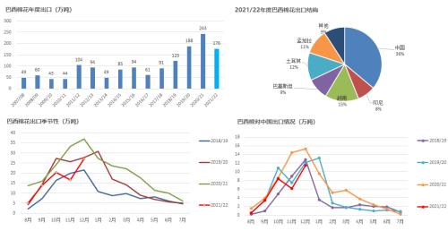 棉花：印度棉价继续上涨，会给市场带来什么？