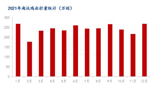 Mysteel解读：春节前夕蛋鸡市场供需面浅析