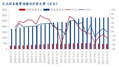 Mysteel解读：节后生猪价格或弱势运行