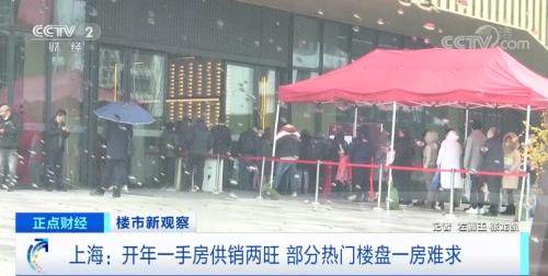 一房难求！售楼处排起长队！上海新房火爆！购房者：无论户型是否满意都要买