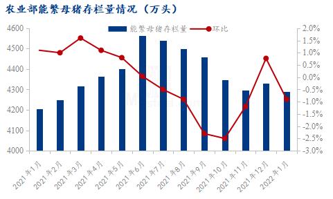 Mysteel解读：2022年生猪行业寒冬：猪企的“棉衣”在哪里？