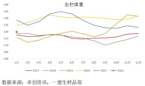 生猪:泡沫褪去,回归现实