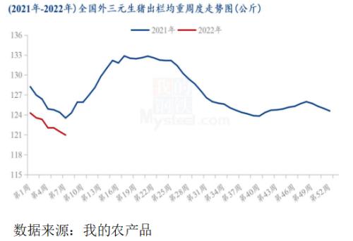 生猪:泡沫褪去,回归现实