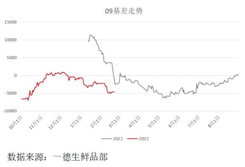 生猪:泡沫褪去,回归现实