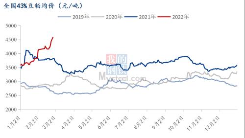 Mysteel解读:抛储落地 豆粕价格为何逆势上扬?