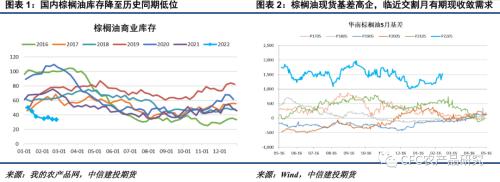 【建投点评】棕榈油：现货紧缺无解，3月第一个交易日多头亮剑（附会议邀请）
