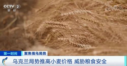 涨价40%！小麦价格创14年新高，多国面包涨价！联合国发出警告