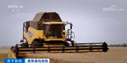 创14年来新高！俄乌抵触继续，小麦期价一周涨超40%！有国家求助寻找俄乌以外提供源...