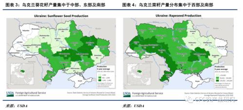 【悠哉油斋】印尼政策朝令夕改，棕榈油市场波动剧烈